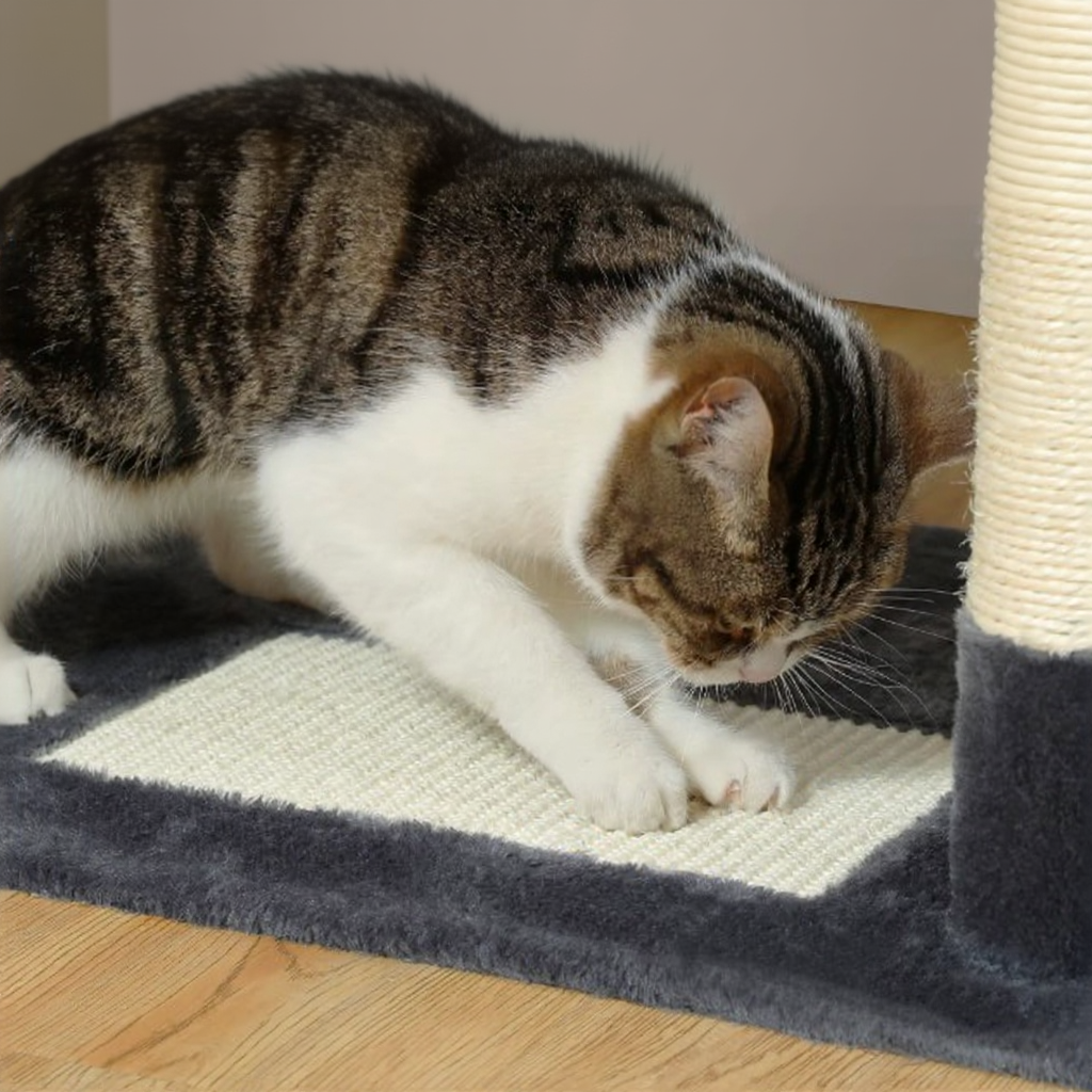 Arbre à chat 183cm - Griffes d'or