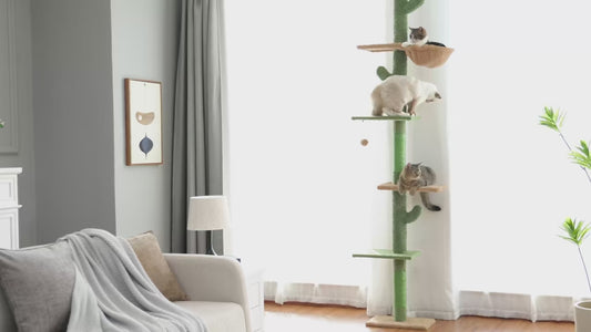 Arbre à chat Tour en Cactus - Griffes d'or